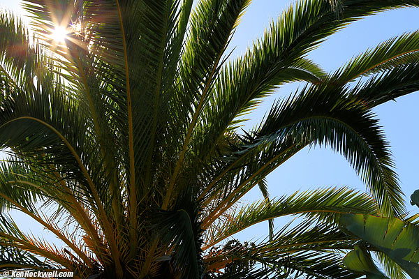 Canon 180mm f/3.5 Macro sunstars at f/11