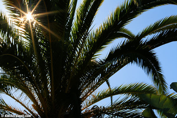 Canon 180mm f/3.5 Macro sunstars at f/32