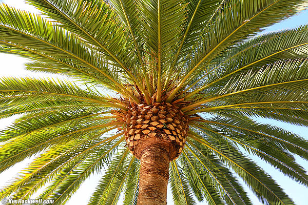 Palm, RP, 11 April 2015