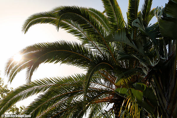 Canon 24-105mm IS STM sunstars