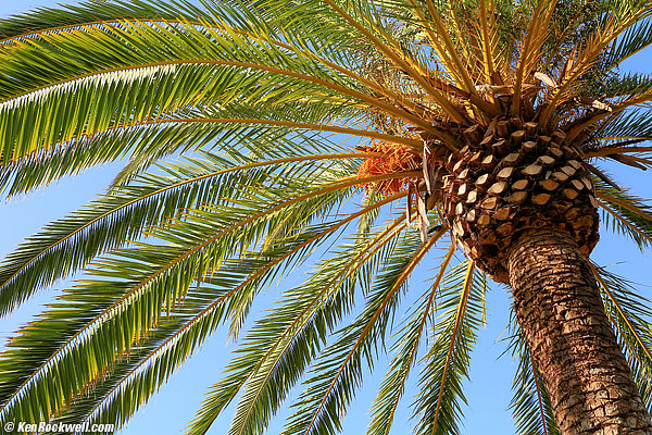 Palm, RP, 11 April 2015