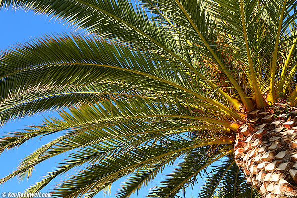 Palm 8:53AM 18 Jan 2013