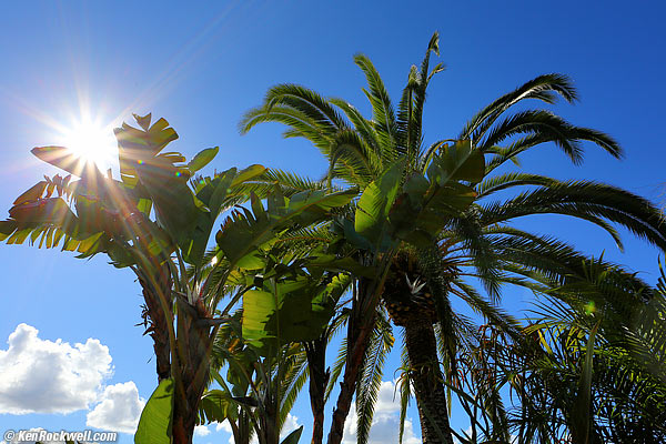 Canon 24mm IS sunstars