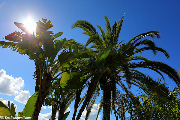 Canon 24mm IS sunstars