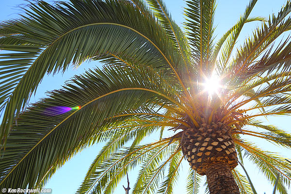 Canon 24mm f/1.4 ghost, 13 Feb 2015