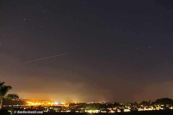 Palms, 06 August 2012