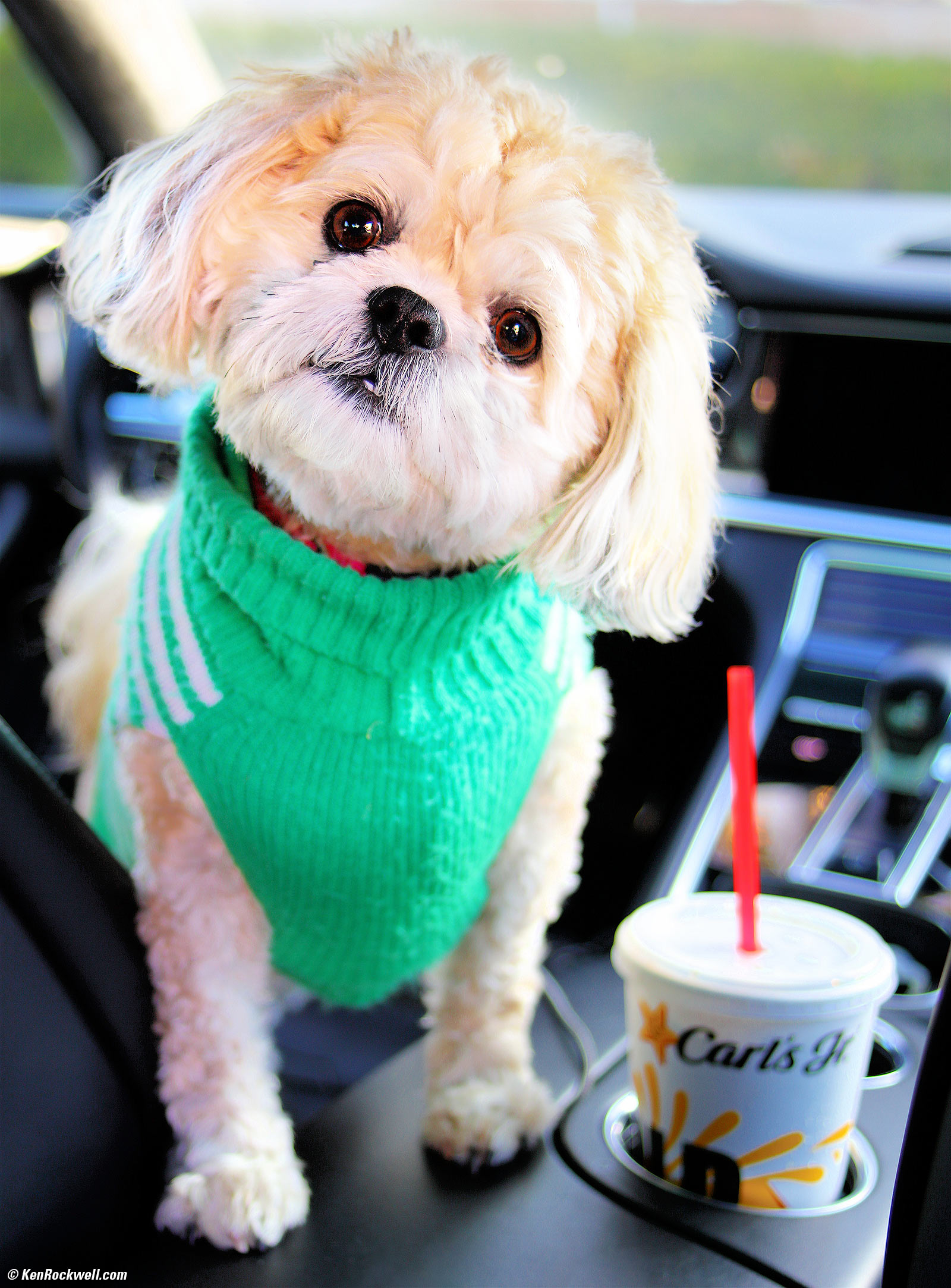 Sofie in Porsche Panamera Turbo