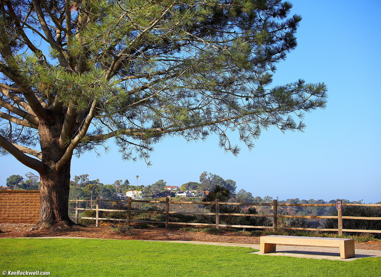 Canon EF 28-80mm f/2.8-4L Sample Image