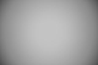 Canon EF 28-80mm f/2.8-4L falloff