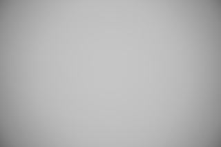 Canon EF 28-80mm f/2.8-4L falloff