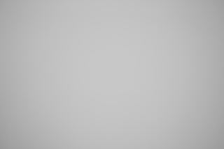 Canon EF 28-80mm f/2.8-4L falloff