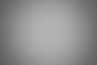 Canon EF 28-80mm f/2.8-4L falloff