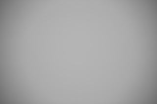 Canon EF 28-80mm f/2.8-4L falloff