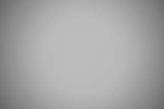 Canon EF 28-80mm f/2.8-4L falloff