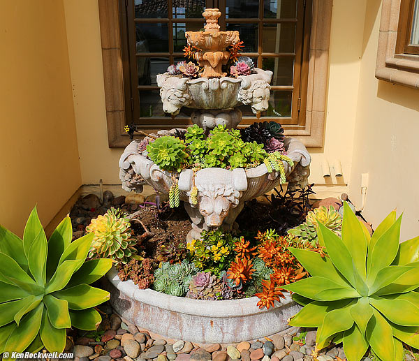 Planter, Aviara, 19 April 2015