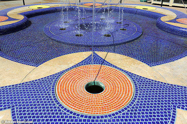 Planter, Aviara, 19 April 2015