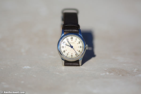 Canon 300mm f/4 IS macro performance