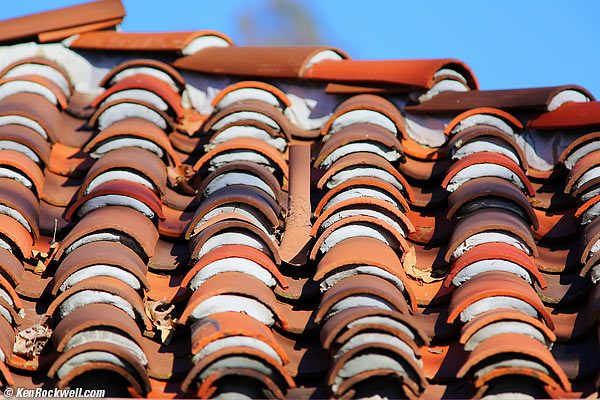 Palm, RP, 19 December 2014