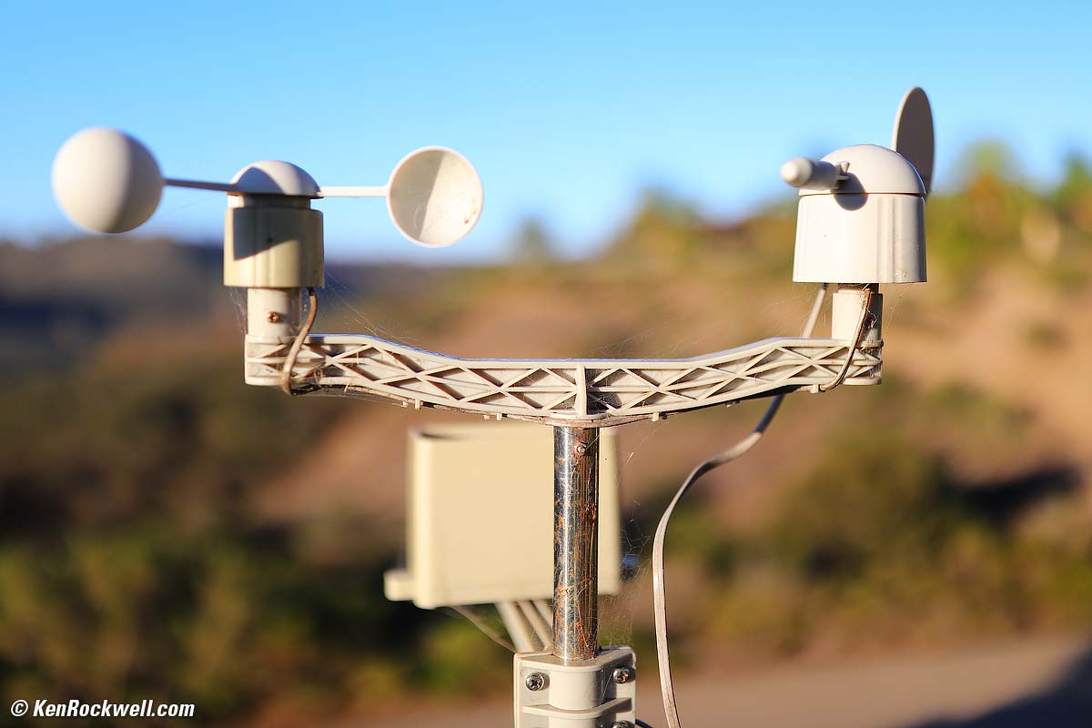 Canon 35mm f/1.4 L II Bokeh