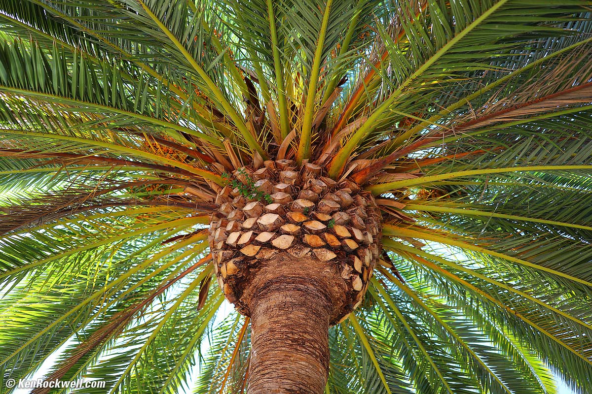 Palm, RP, 09 Oct 2015