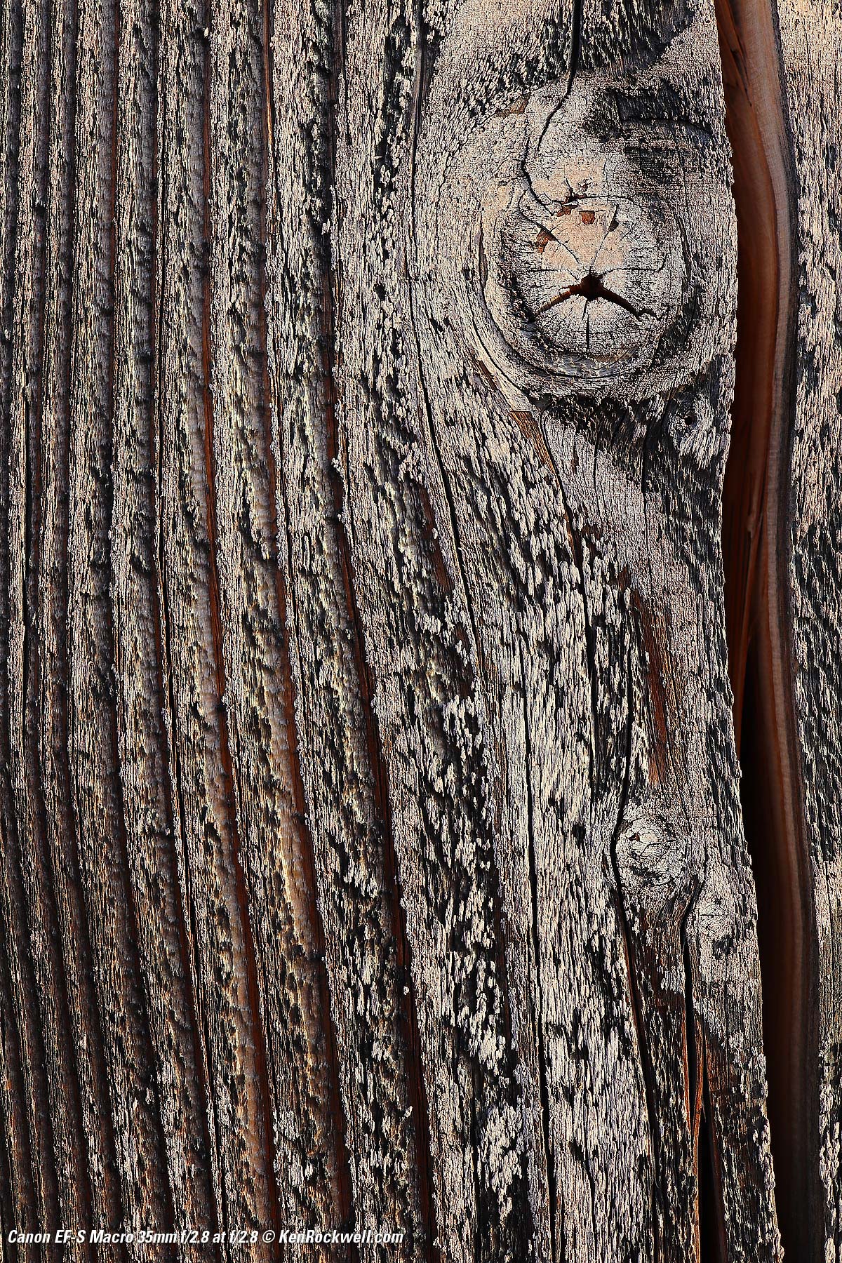 Canon 35mm f/2.8 Macro Sample Image