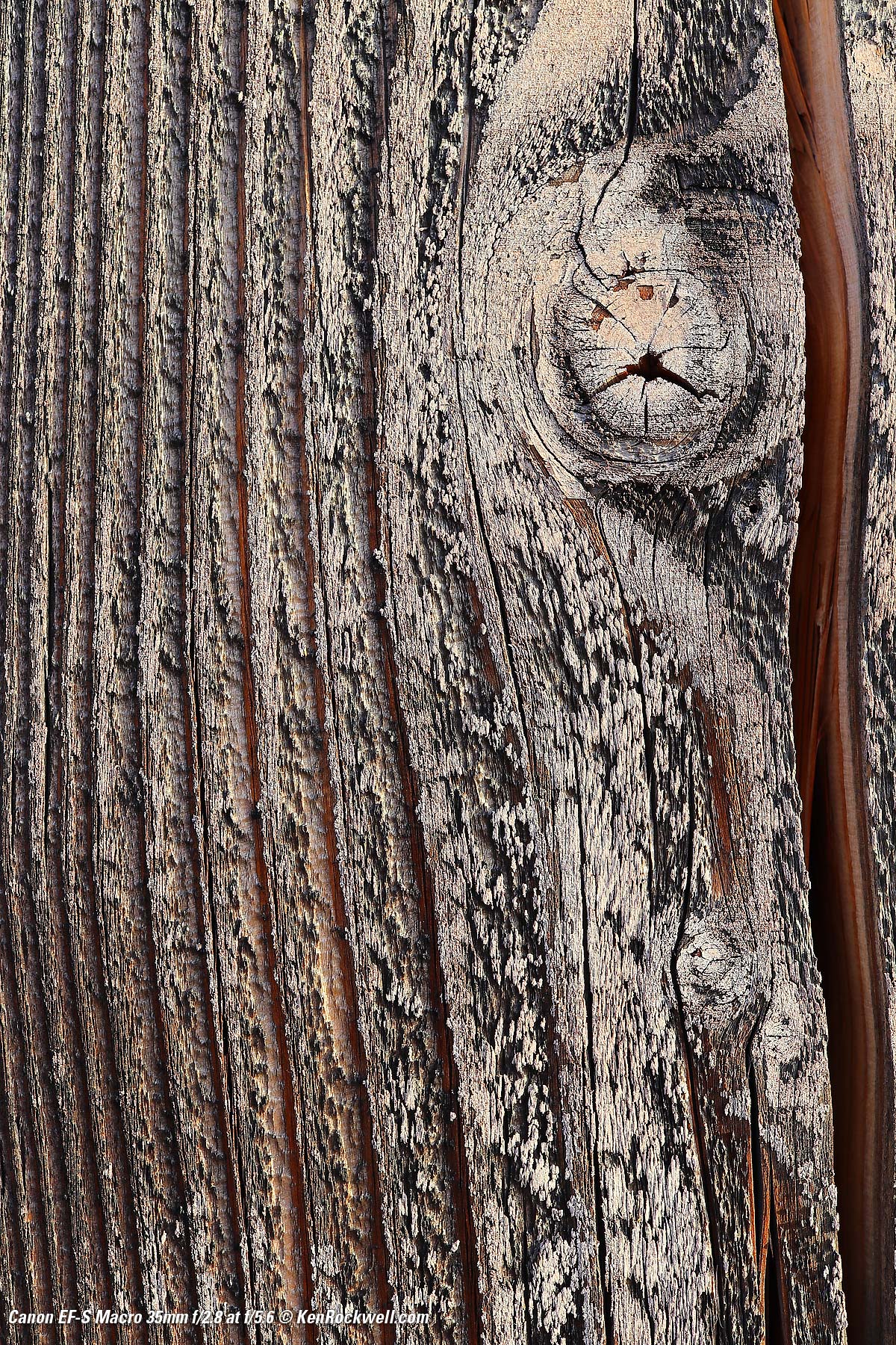 Canon 35mm f/2.8 Macro Sample Image