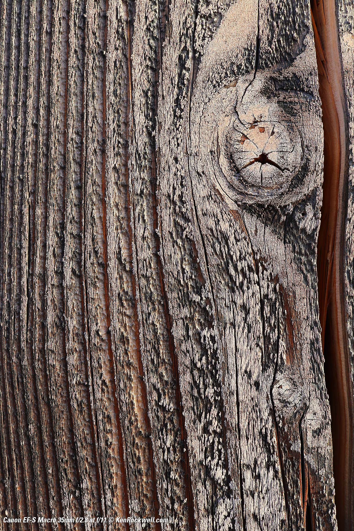 Canon 35mm f/2.8 Macro Sample Image