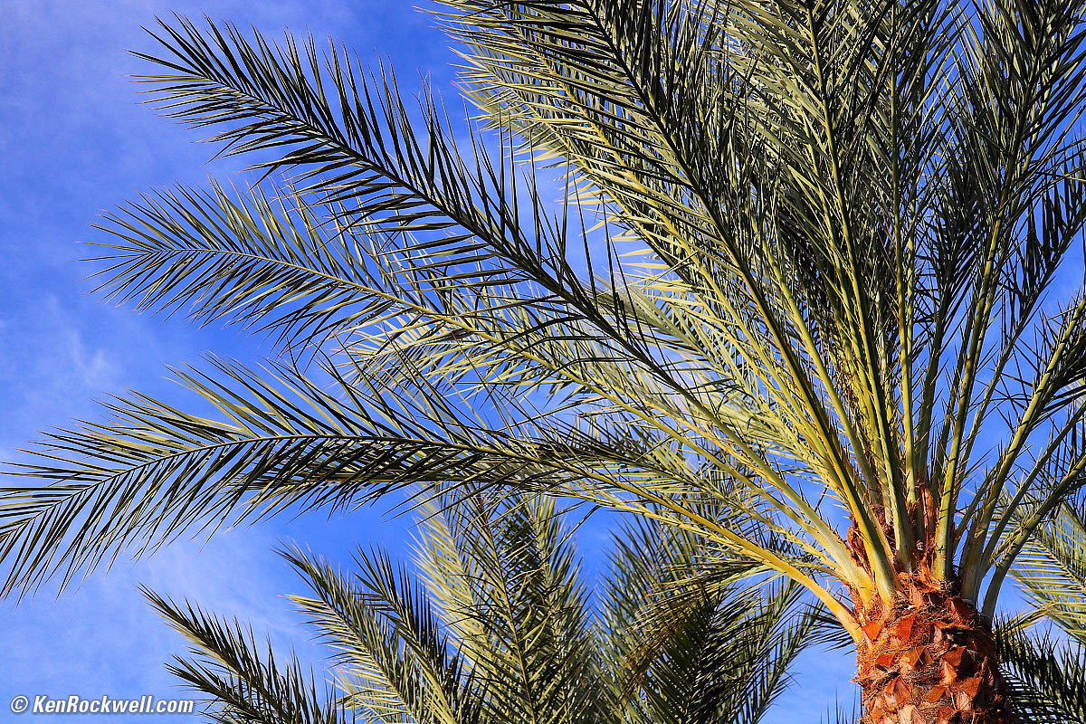 Canon 35 28 macro sample image