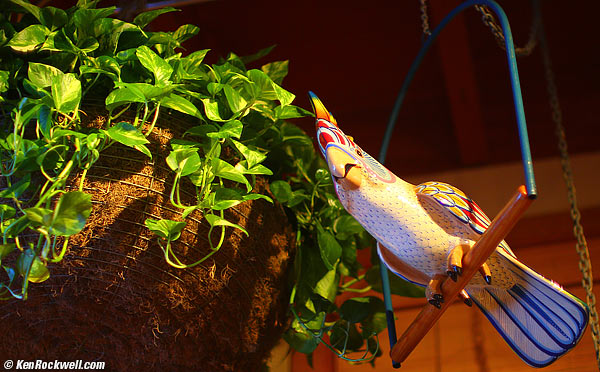 Birds Eye Islands  01 Nov 2013