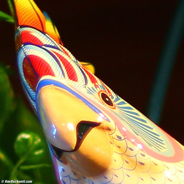 Birds Eye, Islands 01 Nov 2013