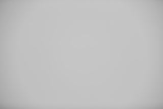 Canon EF 70-200mm f/2.8L IS USM III falloff