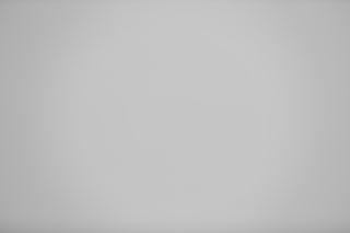 Canon EF 70-200mm f/2.8L IS USM III falloff