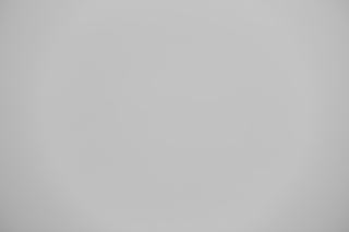 Canon EF 70-200mm f/2.8L IS USM III falloff