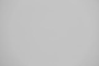 Canon EF 70-200mm f/2.8L IS USM III falloff