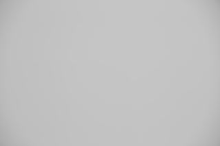 Canon EF 70-200mm f/2.8L IS USM III falloff