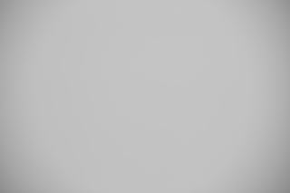 Canon EF 70-200mm f/2.8L IS USM III falloff