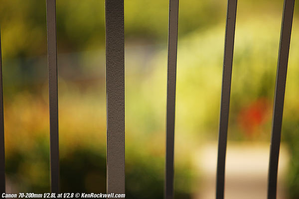 Canon 70-200 2.8 L Bokeh