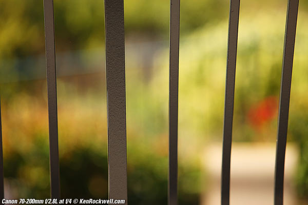 Canon 70-200 2.8 L Bokeh