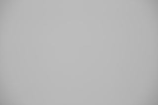 Canon 70-200mm f/4 falloff