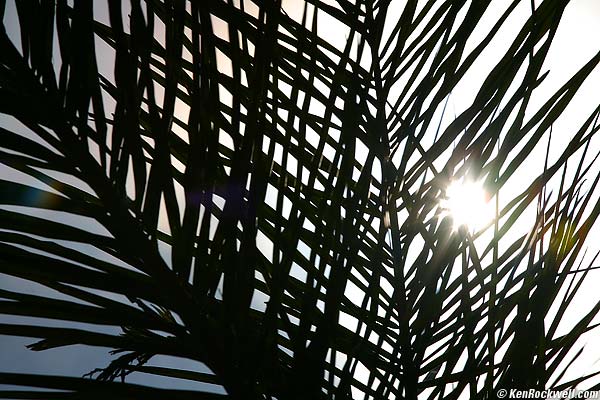 Canon 70-200mm f/4 IS flare