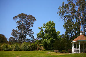 Canon 70-200mm f/4IS