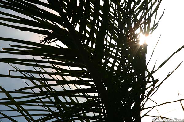 Canon 70-200mm f/4 L IS sunstars