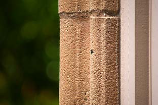 Canon 70-210mm Bokeh