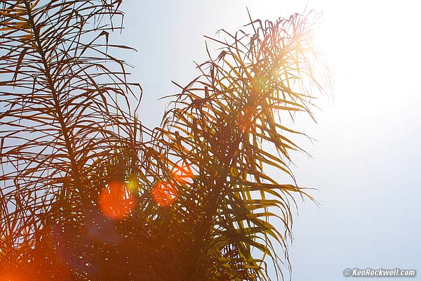 Canon 70-300mm DO IS