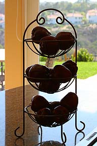 Canon 70-300mm DO IS