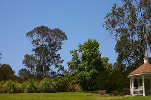 Canon 70-300mm DO IS LCA