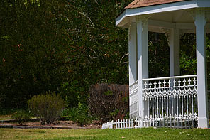 Canon 70-300mm DO IS LCA