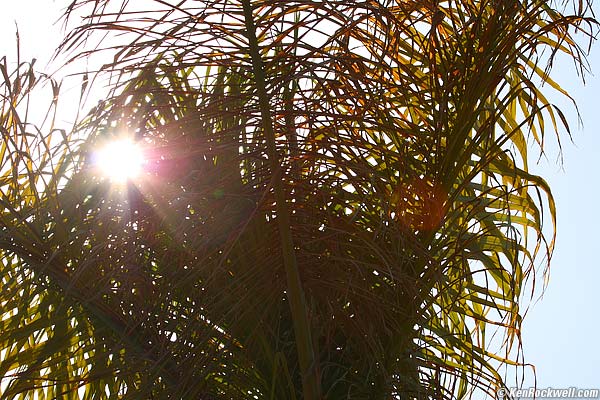 Canon 70-300mm DO IS Sunstars