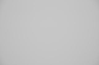 Canon 70-300mm IS II Falloff