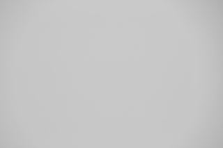 Canon 70-300mm IS II Falloff